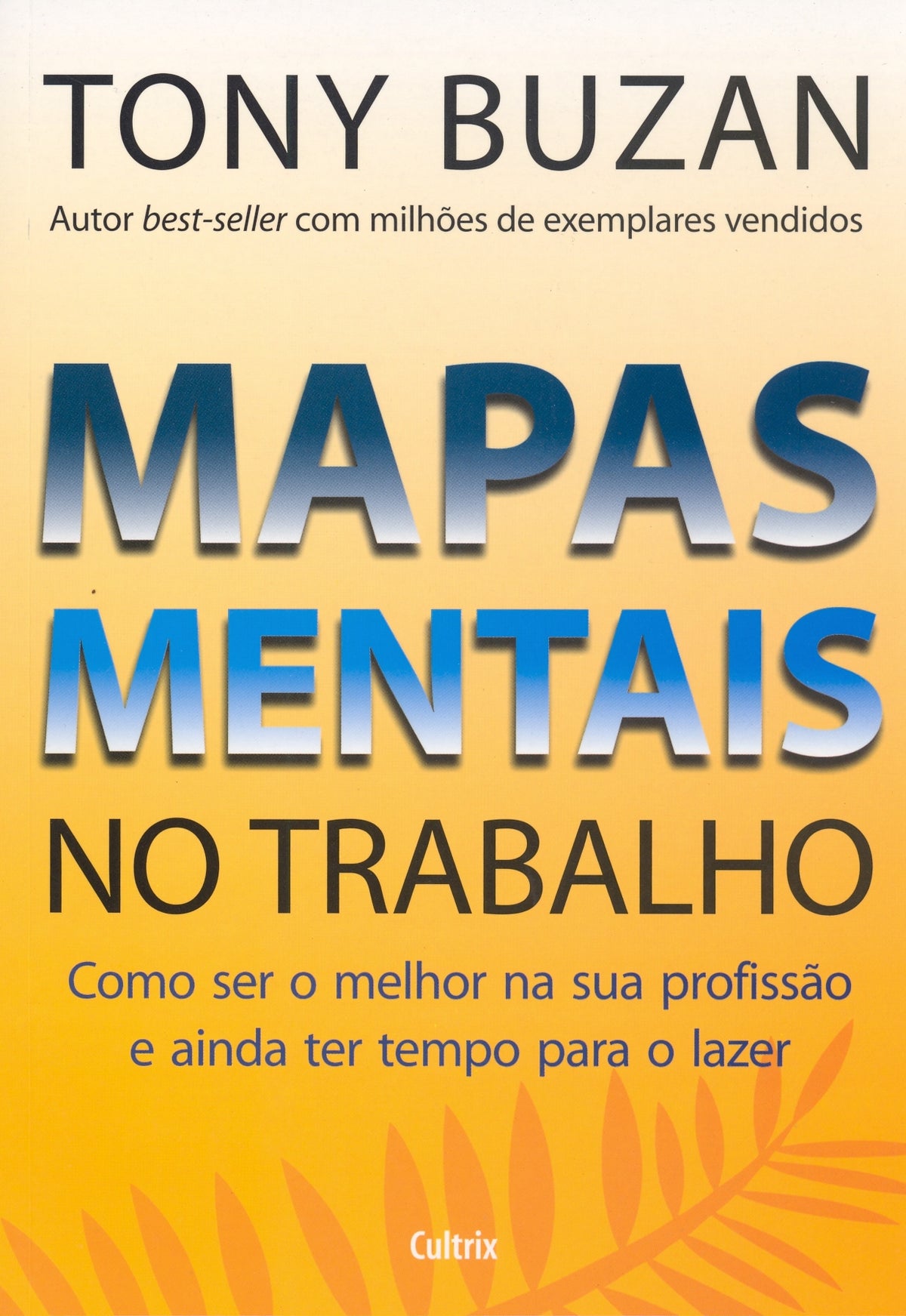 Mapas Mentais no Trabalho - Como Ser o Melhor na Sua Profissão e Ainda Ter Tempo para o Lazer