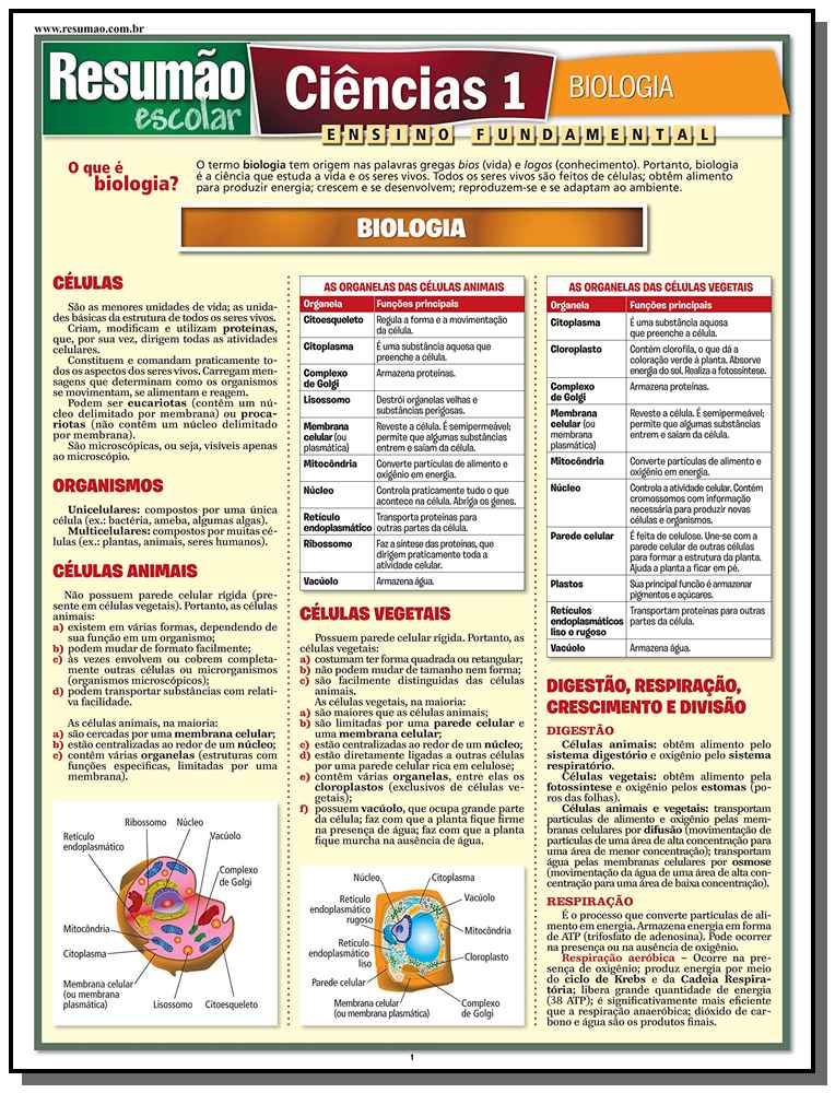 Ciências 1 - Biologia