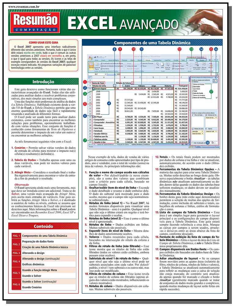 Excel Avançado