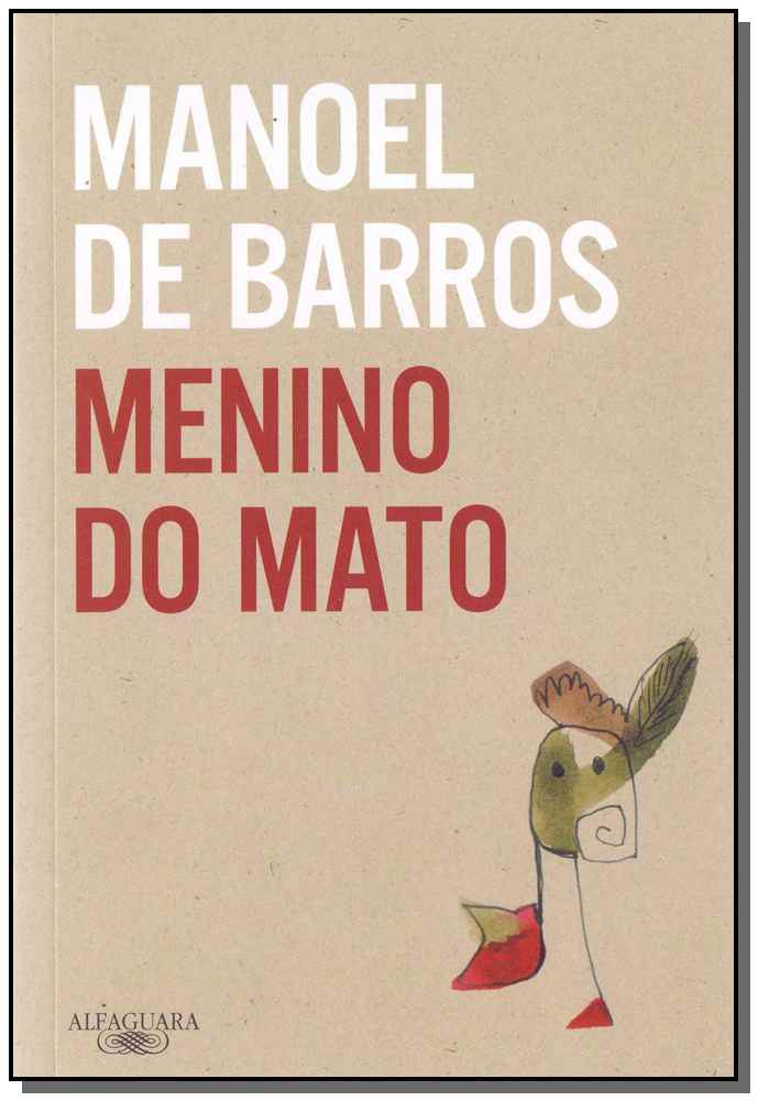 Menino do Mato