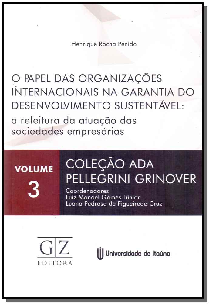Papel das Organizações Internacionais na Garantia do Desenvolvimento Sustentável, o
