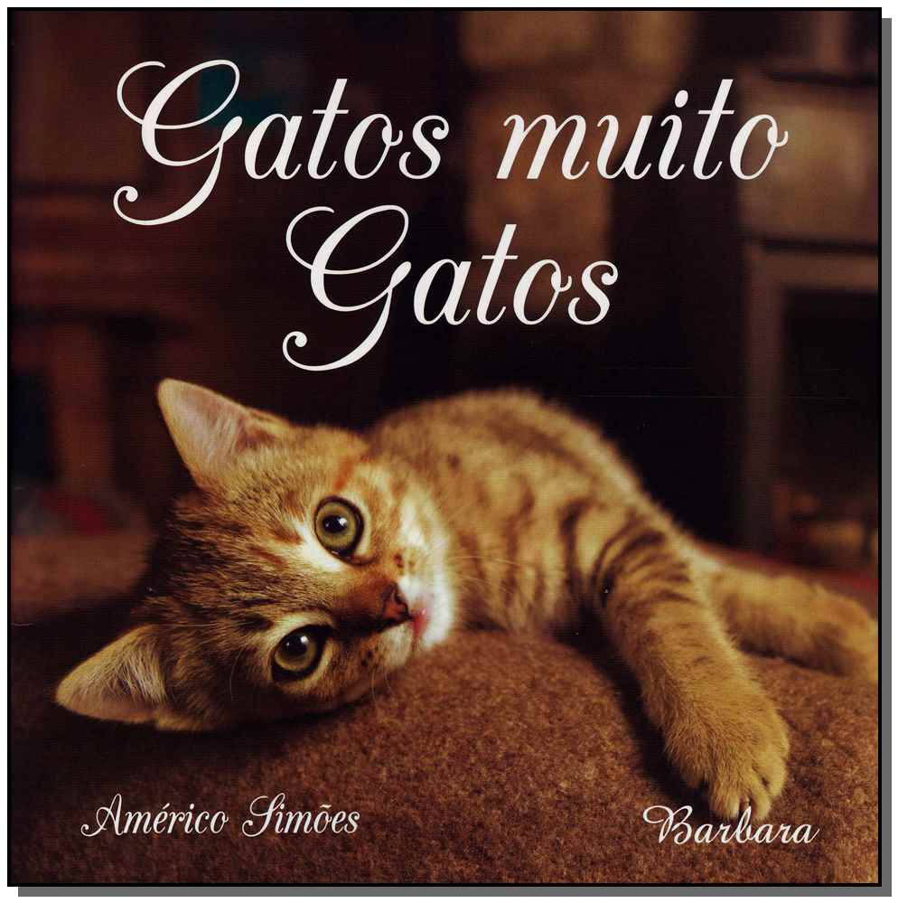 Gatos Muito Gatos