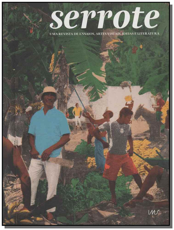 Capa do livro Serrote - Vol.20, de Editora Ims