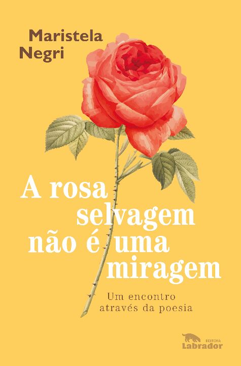 A Rosa Selvagem Não É uma Miragem