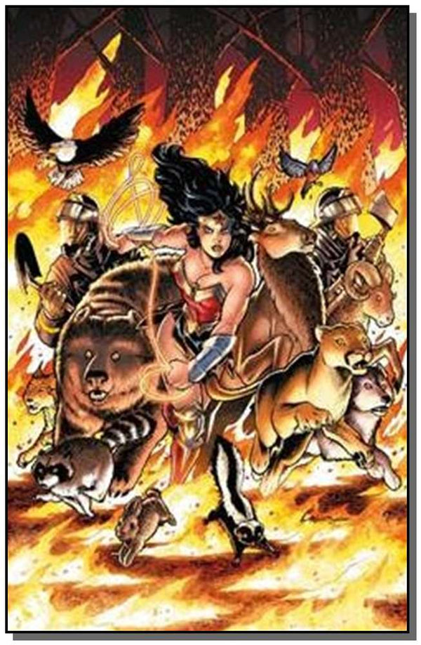 Capa do livro Mulher-Maravilha - Volte para Mim, de Amanda Conner, Jimmy Palmiotti