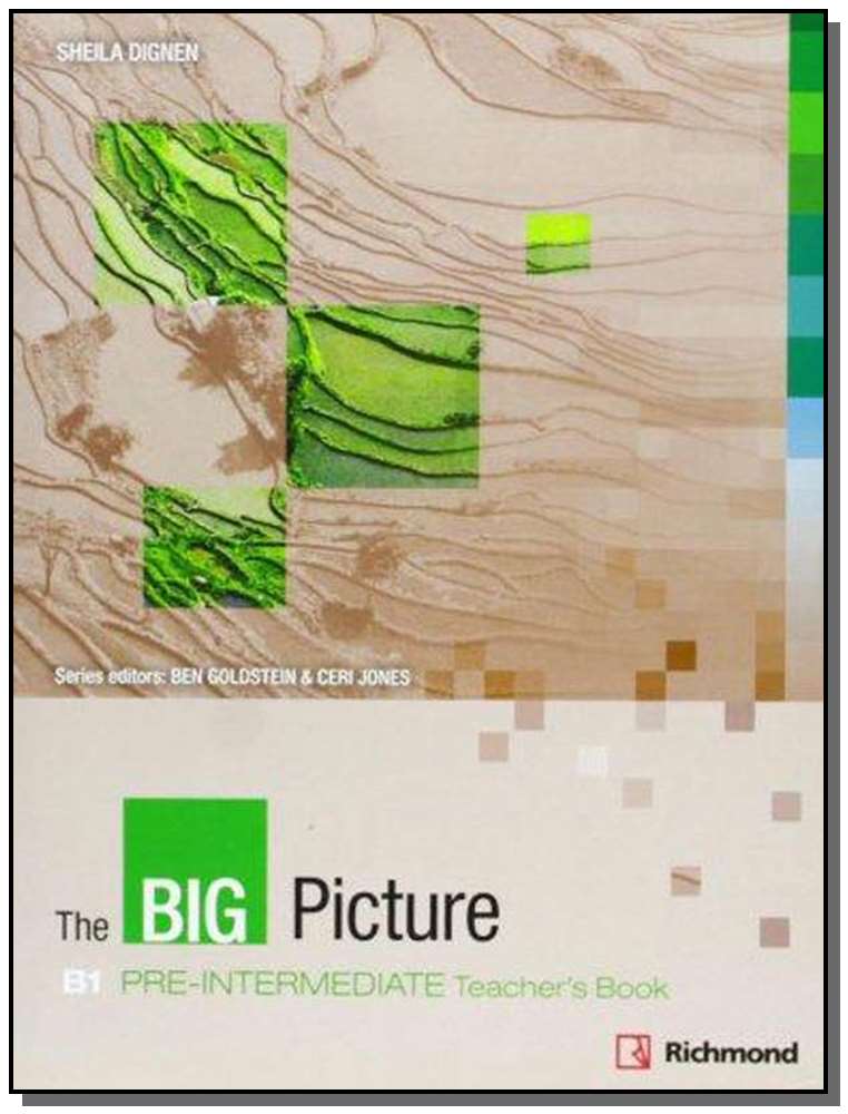The Big Picture 2 Teachers Book
