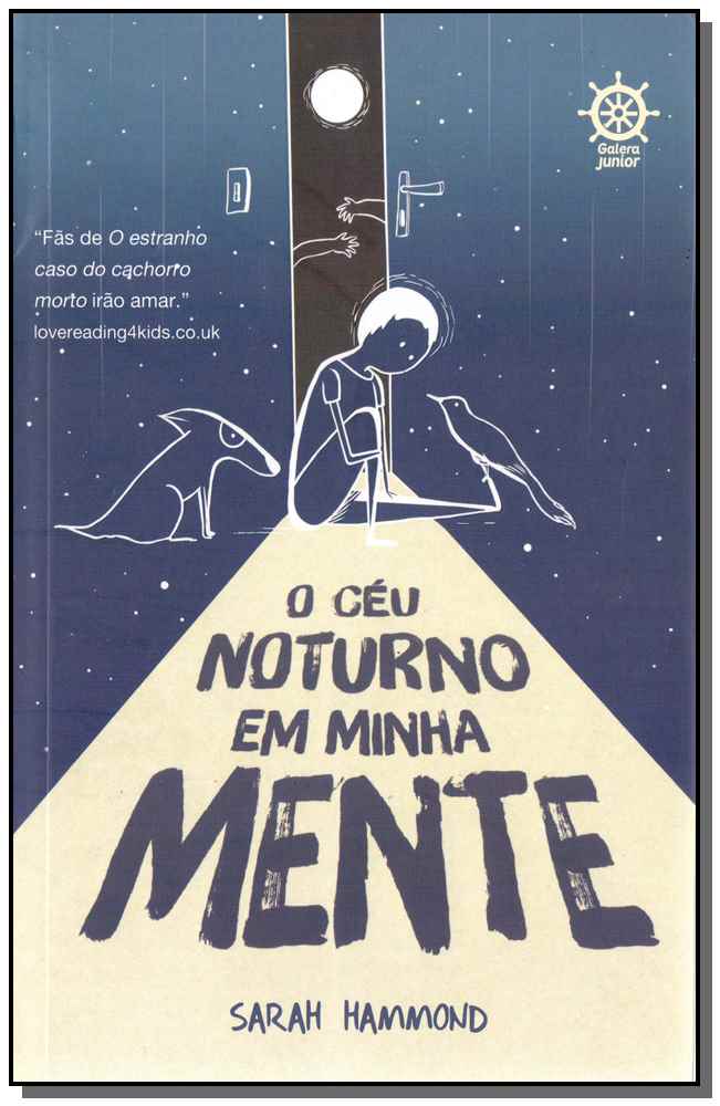 O Céu Noturno em Minha Mente