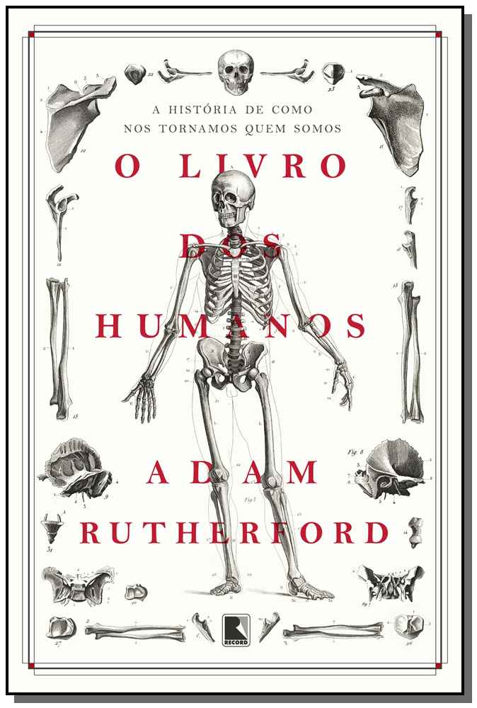 O Livro dos Humanos