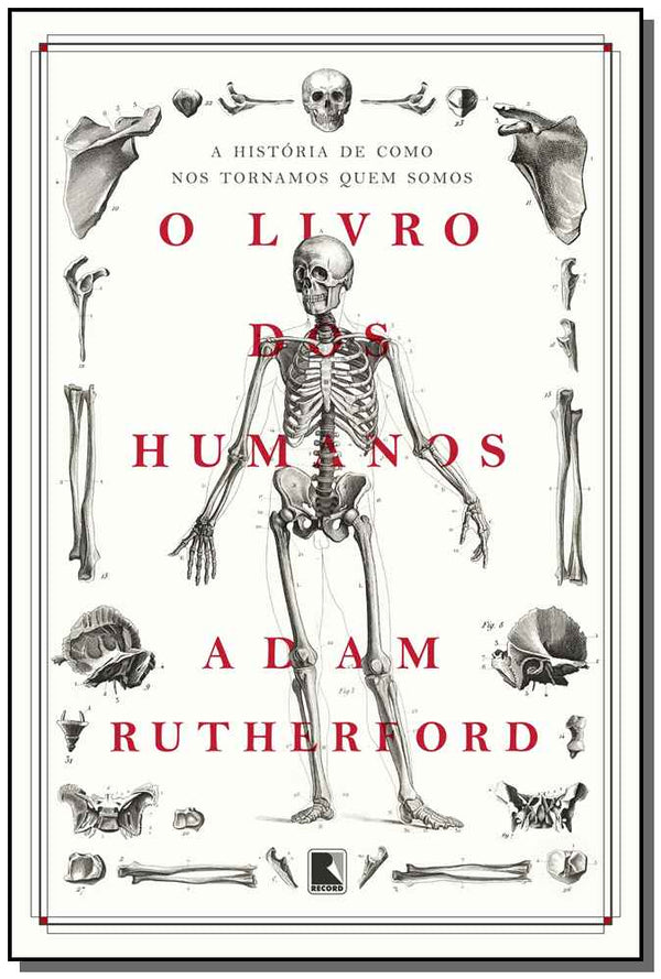 Capa do livro O Livro dos Humanos, de Adam Rutherford