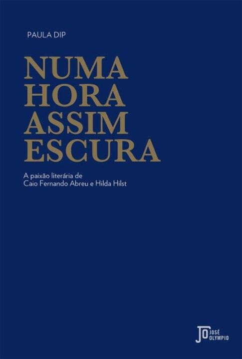 Capa do livro Numa Hora Assim Escura, de Paula Dip