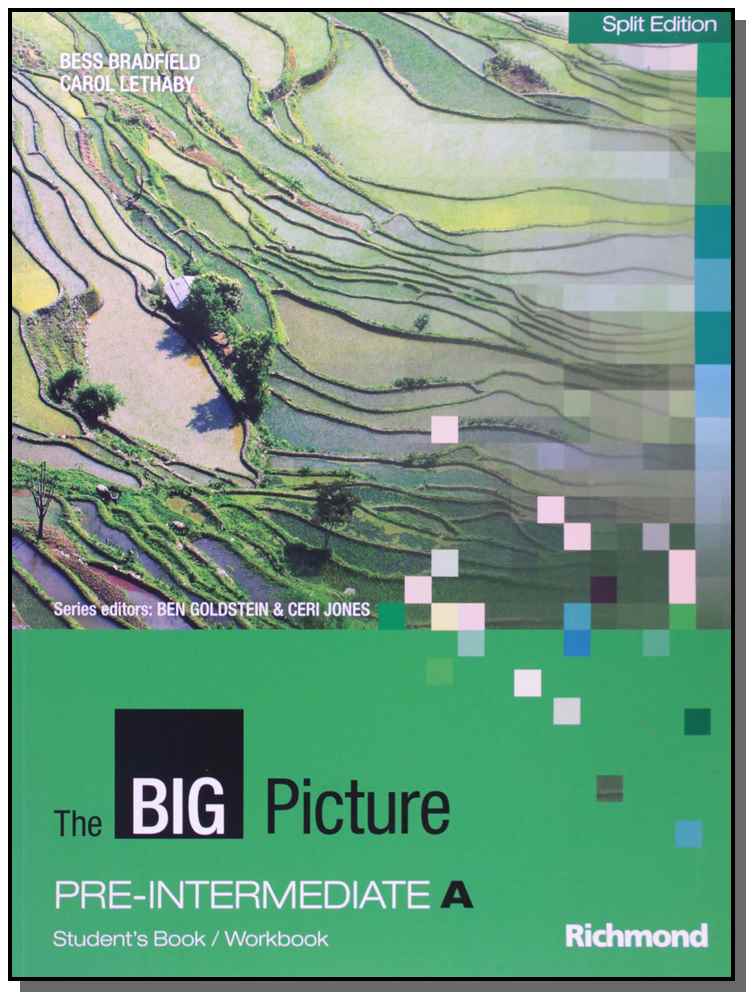 The Big Picture Pre Intermediate a