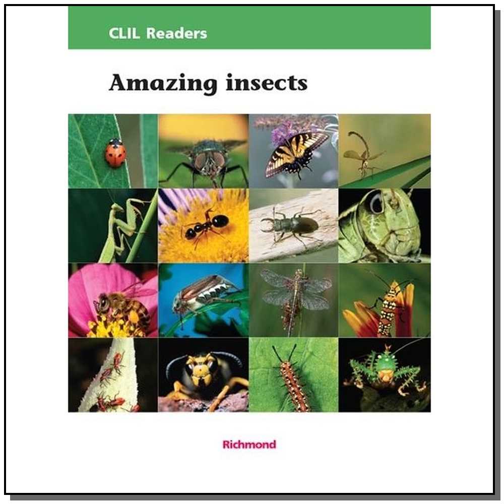 Amazing Insects