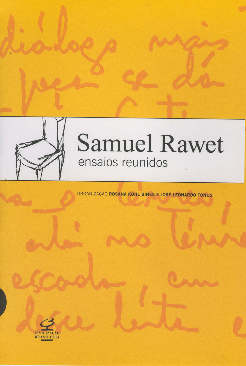 Samuel Rawet: Ensaios Reunidos