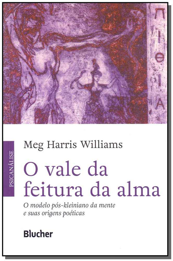 Capa do livro O Vale da Feitura da Alma, de Meg Harris Williams