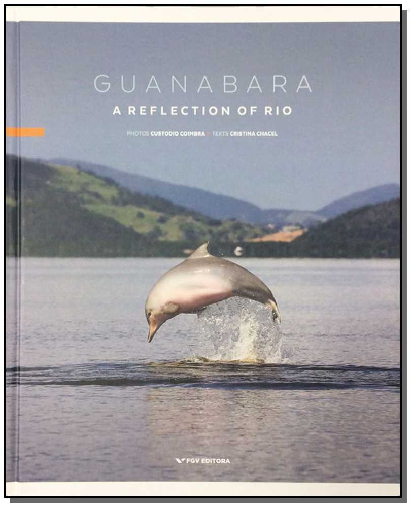 Guanabara a Reflection Of Rio