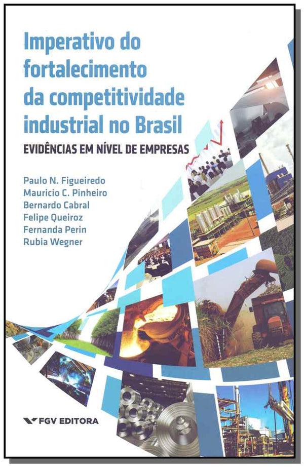 Capa do livro Imperativo do Fortalecimento da Competividade Industrial no Brasil, de Figueiredo; Pinheiro; Cabral e Queiroz