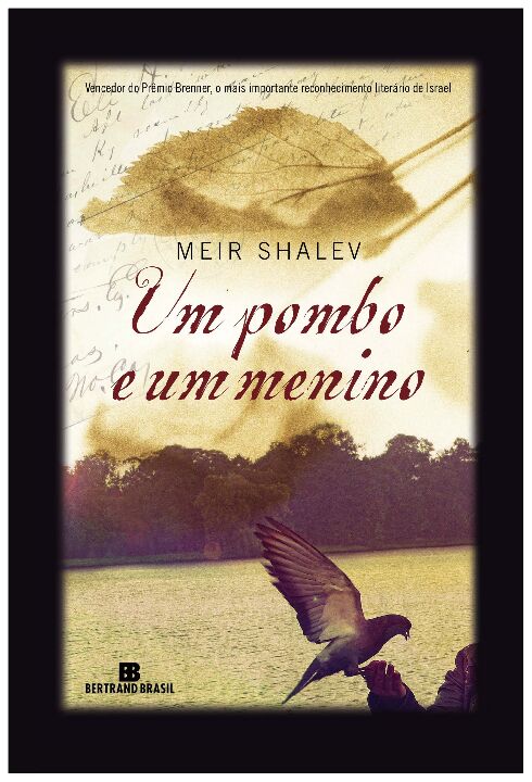 Um Pombo e um Menino
