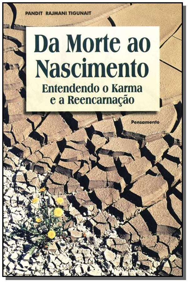 Capa do livro Da Morte ao Nascimento - Entendendo o Karma e a Reencarnação, de Pandit R. Tigunait