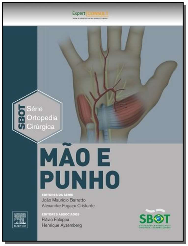Mao e Punho