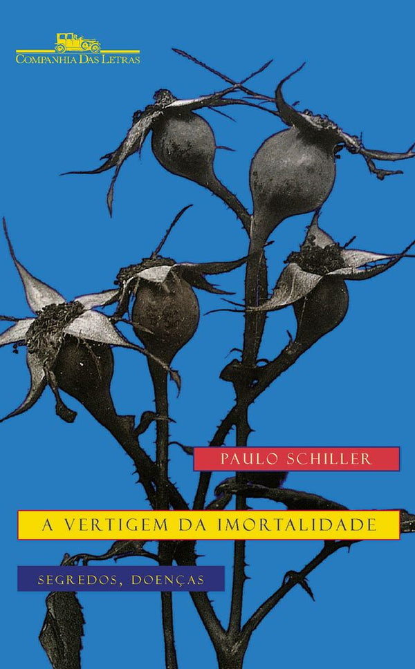 Capa do livro A Vertigem da Imortalidade, de Paulo Schiller