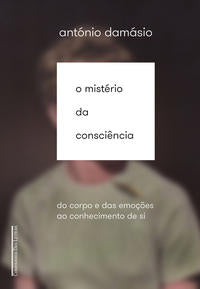 O Mistério da Consciência