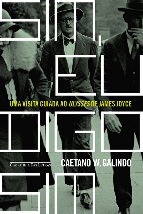 Capa do livro Sim, Eu Digo Sim, de Caetano W. Galindo