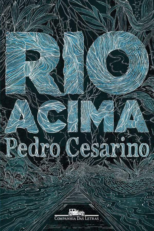 Capa do livro Rio Acima, de Pedro de Niemeyer Cesarino