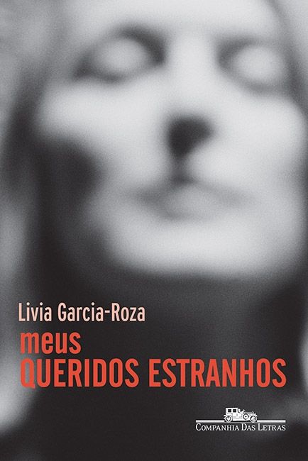 Capa do livro Meus Queridos Estranhos, de Livia Garcia-Roza