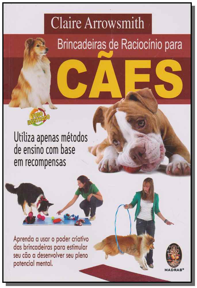 Brincadeiras de Raciocínio para Cães
