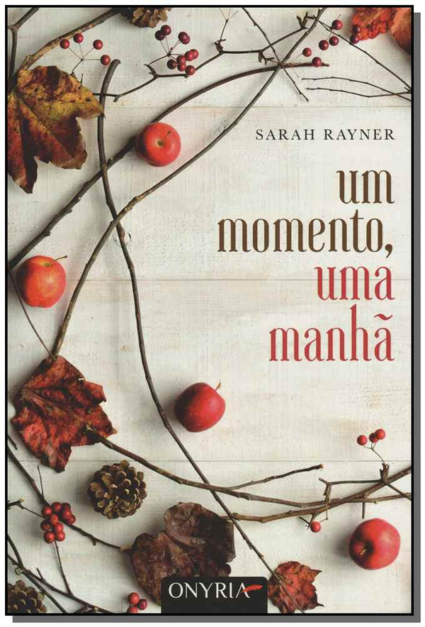 Capa do livro Um Momento, uma Manha, de Sarah Rayner