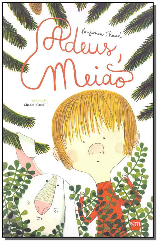 Capa do livro Adeus, Meião, de Benjamin Chaud