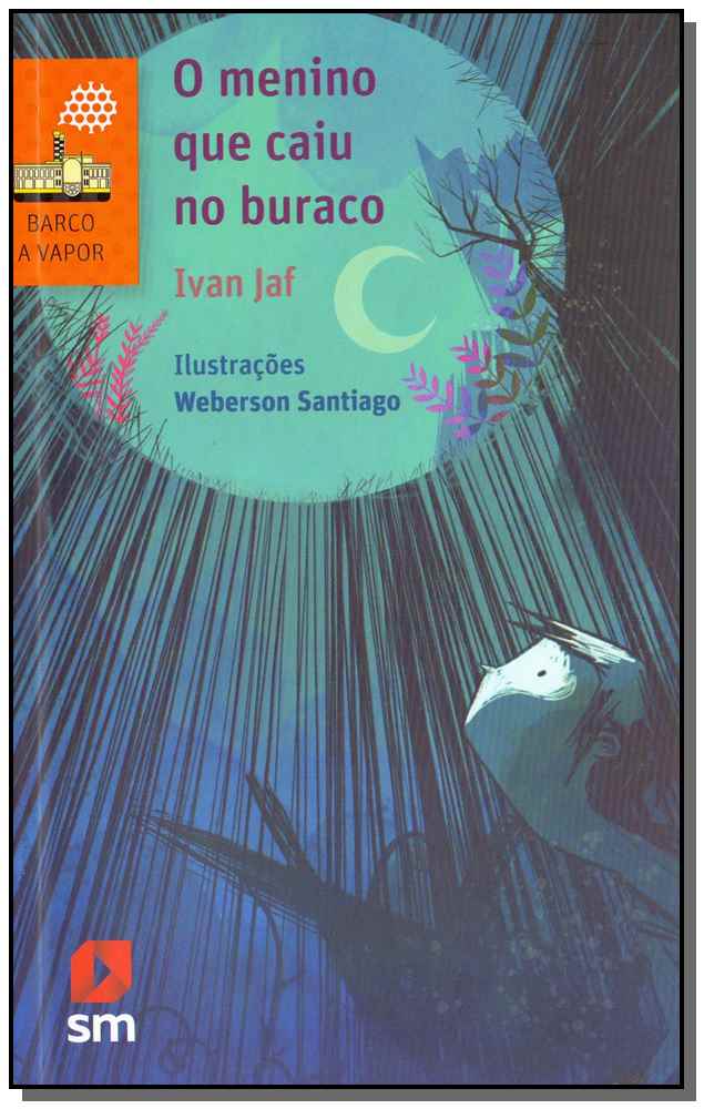 Menino que Caiu no Buraco, o - 02ed/17