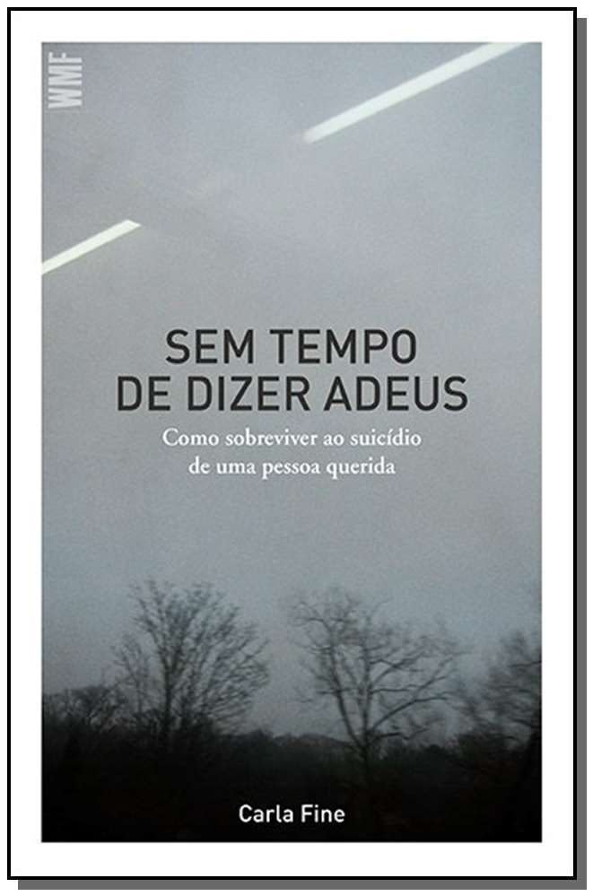 Sem Tempo de Dizer Adeus