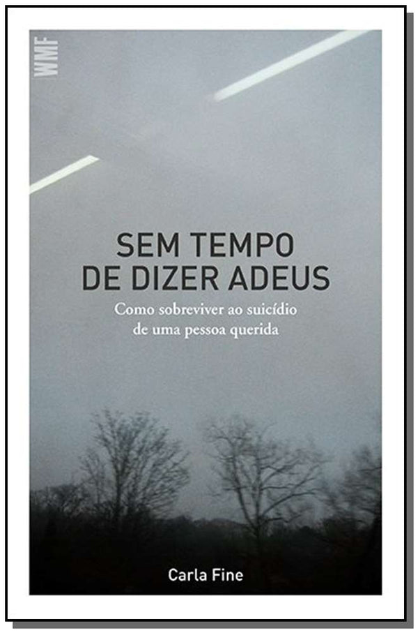 Capa do livro Sem Tempo de Dizer Adeus, de Carla Fine