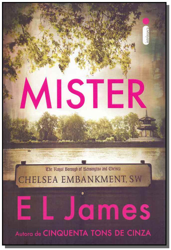 Capa do livro Mister, de E. L. James