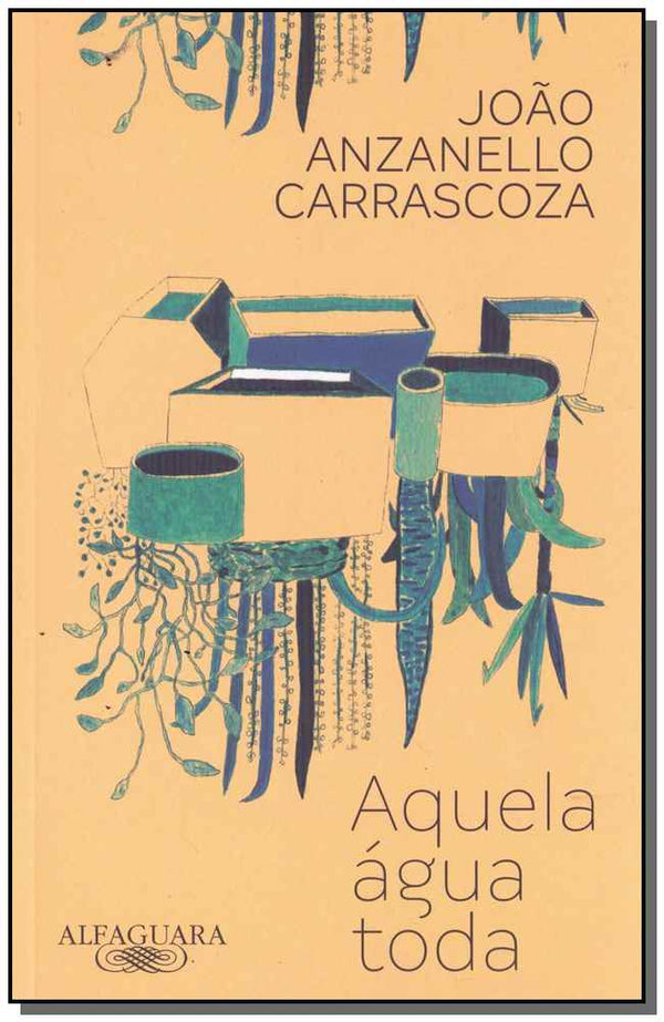 Capa do livro Aquela Água Toda, de Joao Anzanello Carrascoza