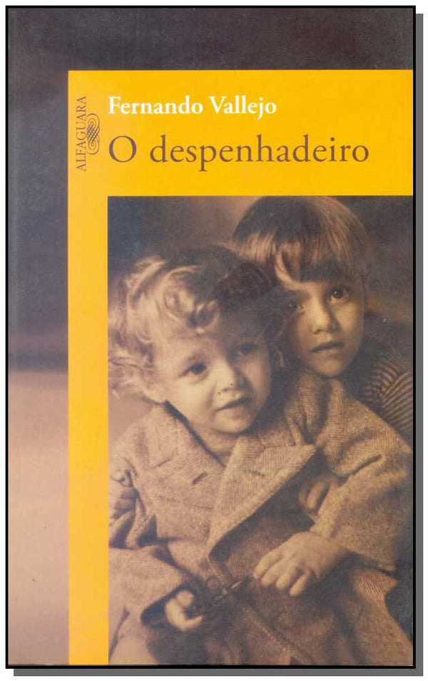 Capa do livro Despenhadeiro, o, de Fernando Vallejo