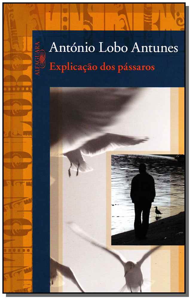 Explicação dos Pássaros