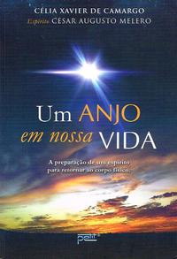Capa do livro Um Anjo em Nossa Vida, de Celia Xavier de Camargo