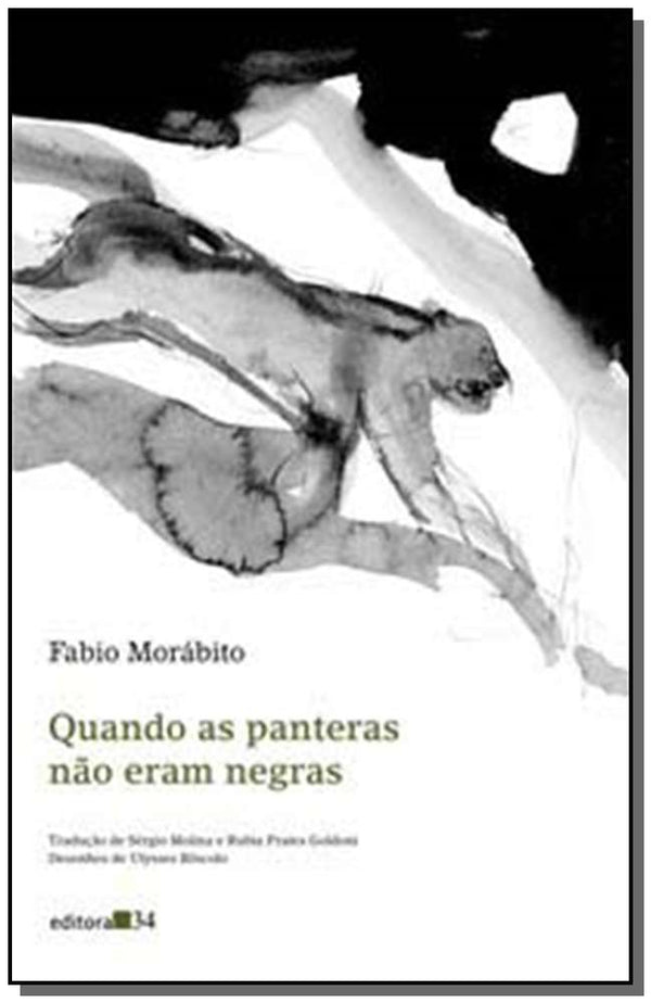 Capa do livro Quando as Panteras Não Eram Negras, de Fabio Morabito