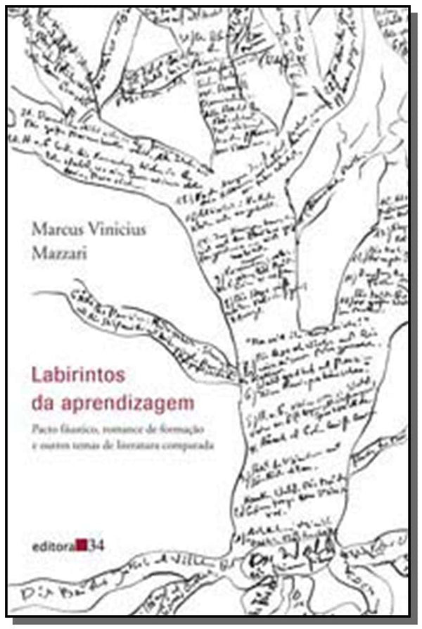 Capa do livro Labirintos da Aprendizagem, de Marcus Vinicius Mazzari