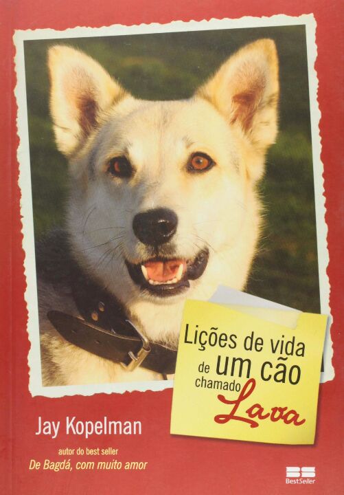 Capa do livro Licoes de Vida de um Cao Chamado Lava, de Jay Kopelman