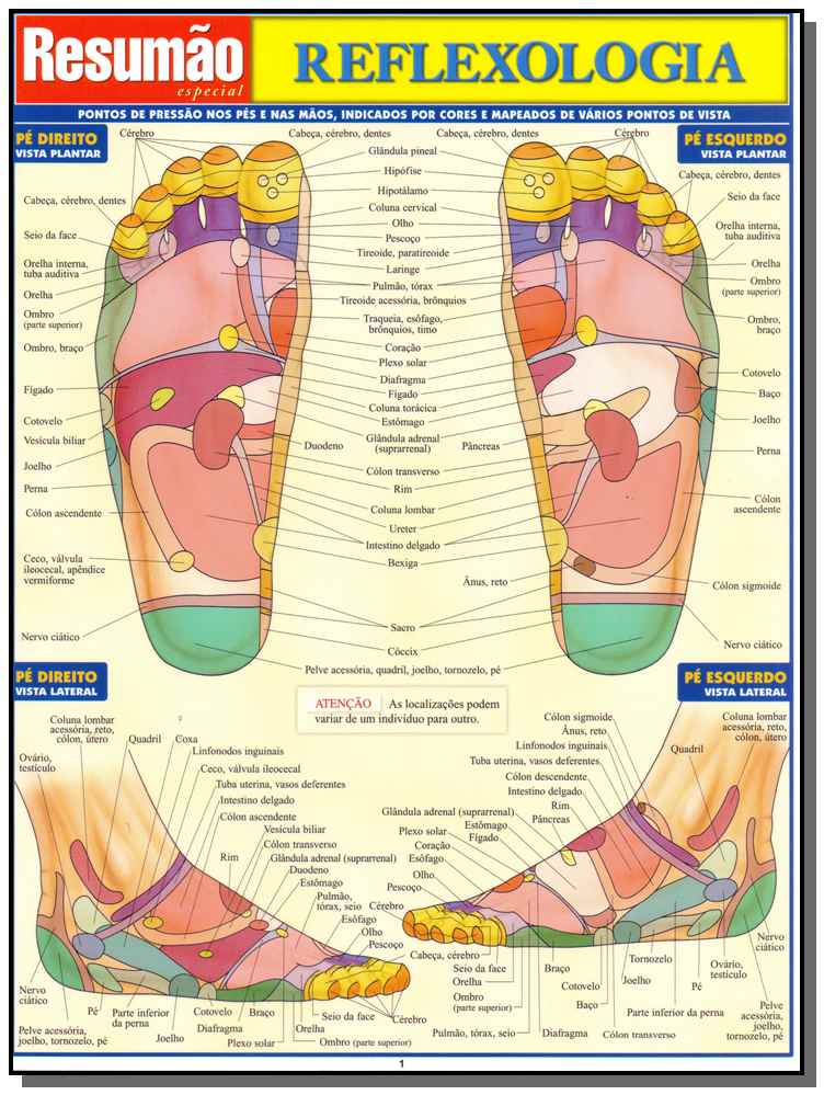 Resumao Especial - Reflexologia