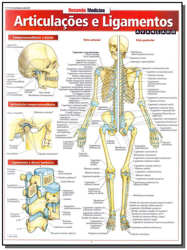 Capa do livro Resumão Medicina - Articulacoes e Ligamentos - Avançado, de Vincent Perez