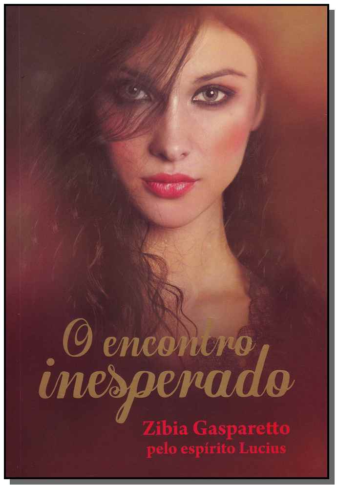 O Encontro Inesperado - Brochura
