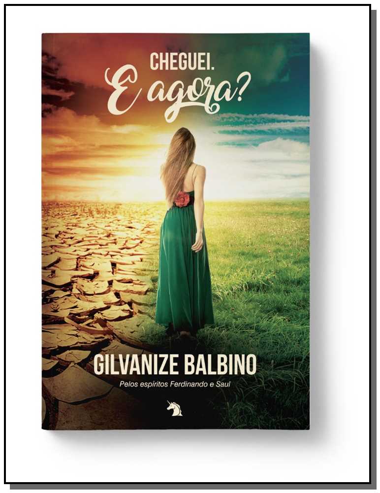 Cheguei. e Agora?