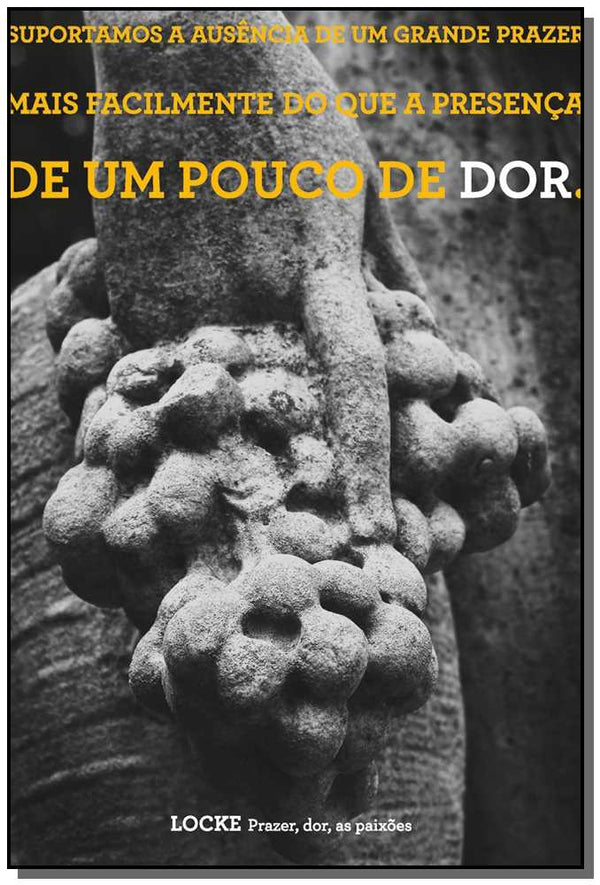 Capa do livro Prazer, Dor, as Paixoes, de John Locke