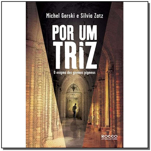 Capa do livro Por um Triz - (Rocco), de Michel Gorski, Silvia Zatz