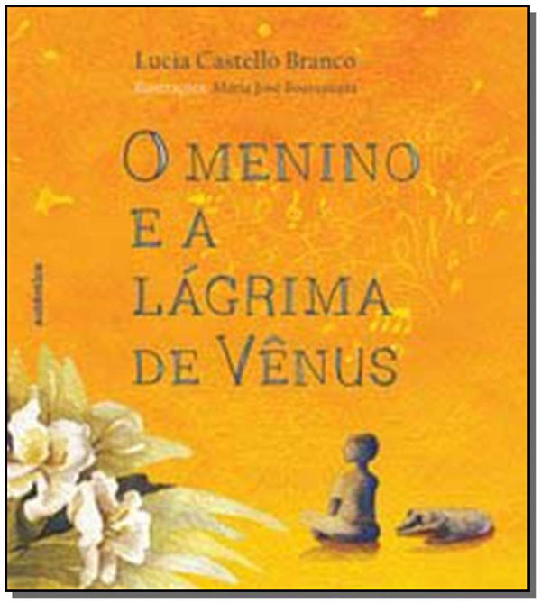 Capa do livro Menino e a Lágrima de Vênus, o, de Lucia Castello Branco