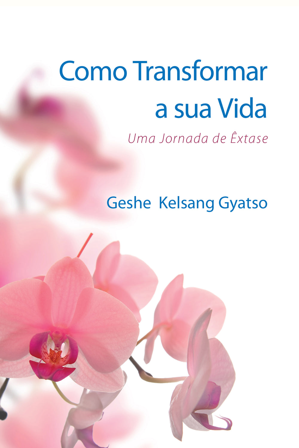 Como Transformar a Sua Vida
